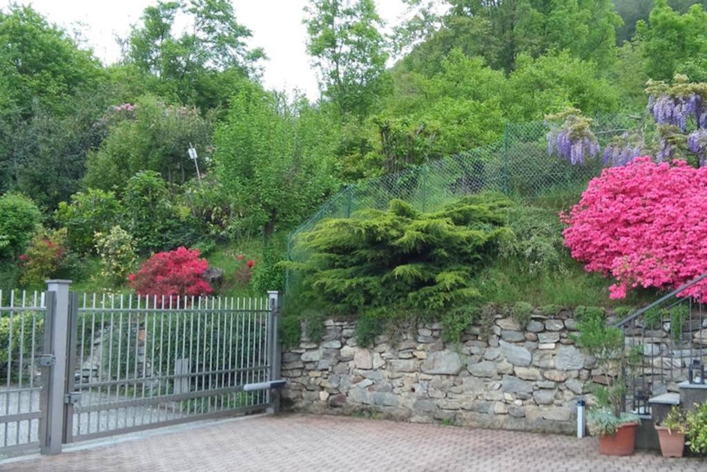 Apartment Orta Openspace Garden