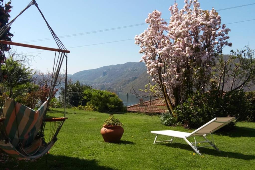 Orta Openspace Garden Apartment