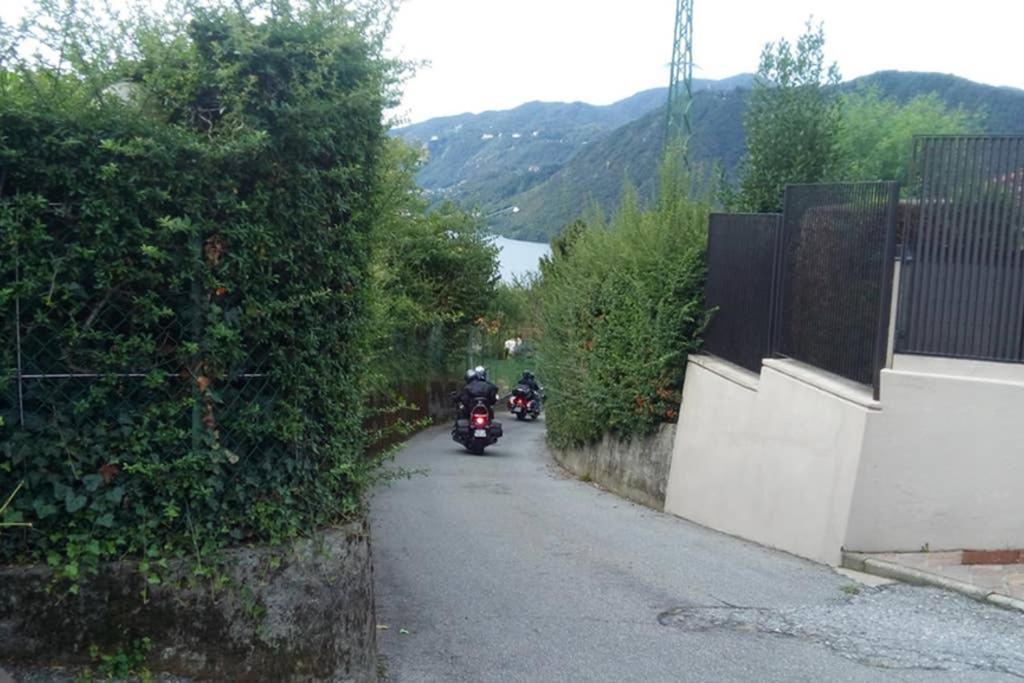 Orta Openspace Garden